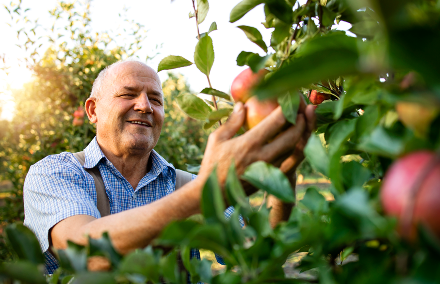 Not&iacute;cias Imobili&aacute;rias, Im&oacute;veis Una&iacute;