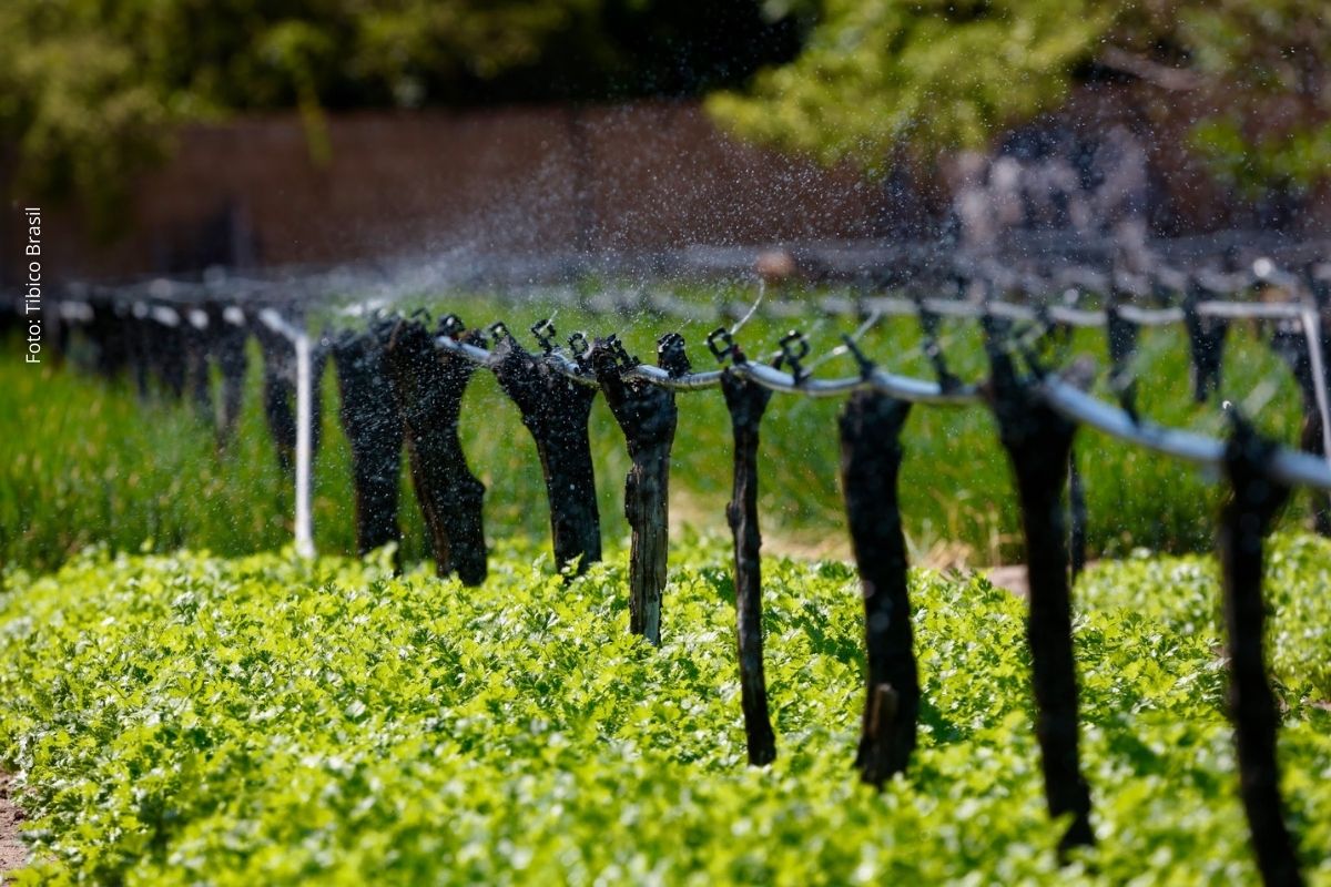 Home Page, Im&oacute;veis Una&iacute;