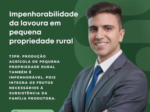 Impenhorabilidade da lavoura em pequena propriedade rural, Im&oacute;veis Una&iacute;