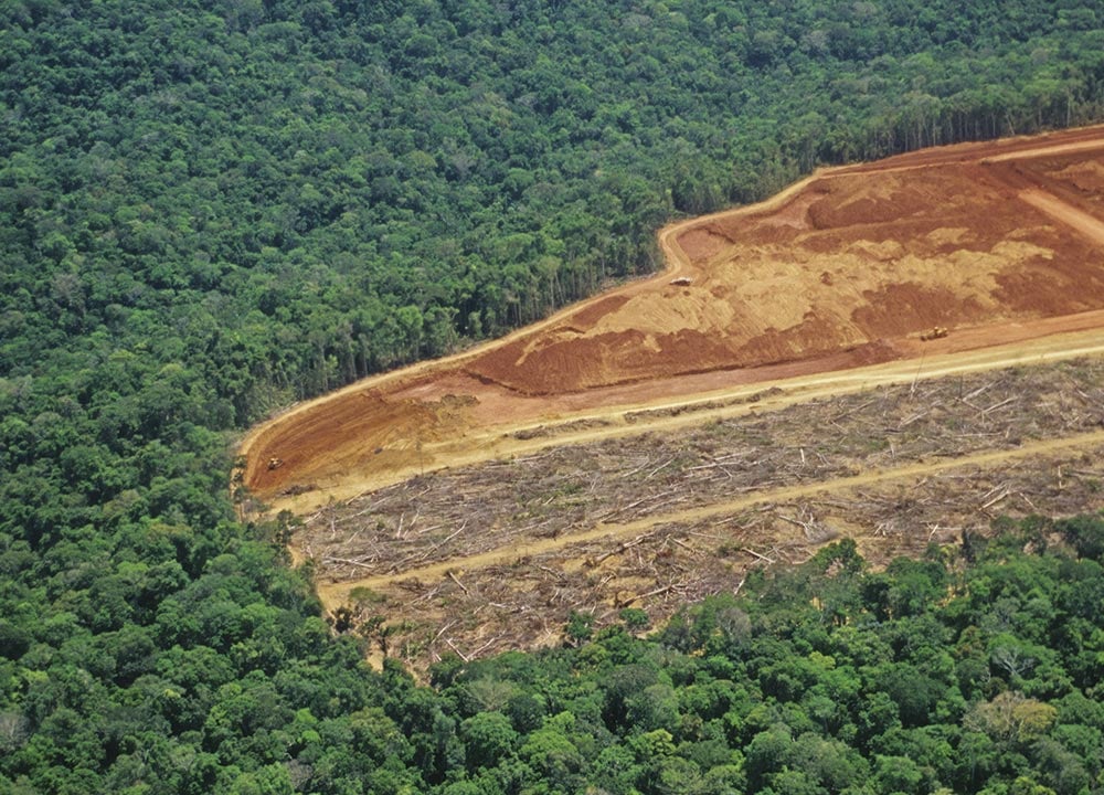 CMN adia bloqueio ambiental no cr&eacute;dito rural para 2027 – Carta Capital, Im&oacute;veis Una&iacute;