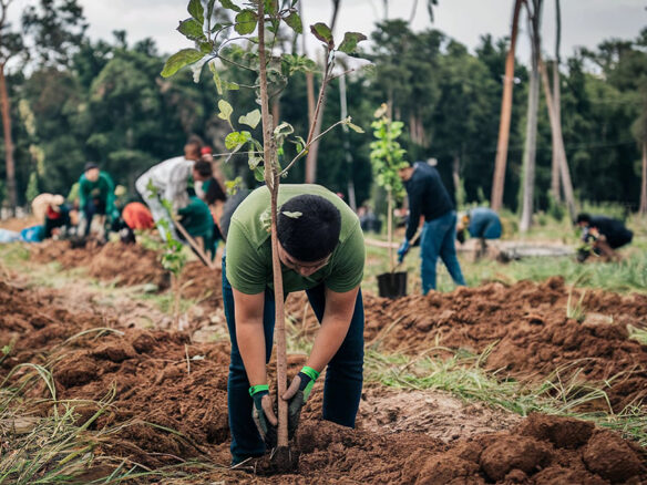 Cr&eacute;dito rural com an&aacute;lise obrigat&oacute;ria de desmatamento fica para 2027 – MundoCoop, Im&oacute;veis Una&iacute;