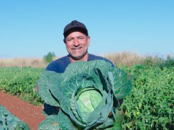 Governo do Brasil amplia alcance do Desenrola Rural e facilita cr&eacute;dito para agricultura familiar, Im&oacute;veis Una&iacute;