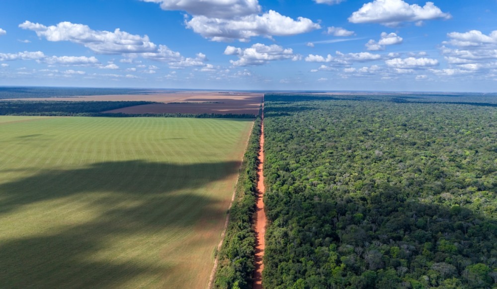 Governo adia trava ambiental no cr&eacute;dito rural em nova queda de bra&ccedil;o com o agro – Reset, Im&oacute;veis Una&iacute;